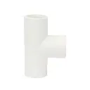 1000000614.webp