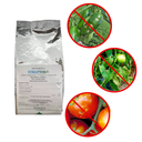 Streptor 500 gr