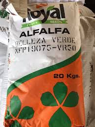[227] SEMILLA DE ALFALFA BELLEZA VERDE