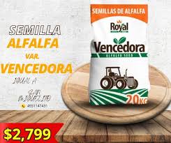 [220] SEMILLA DE ALFALFA VAR. VENCEDORA