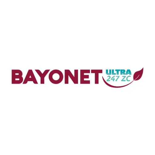 [BAYONETA ULTRA 250ML] BAYONET ULTRA 250ML