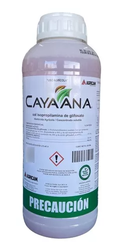 [1028] CAYAANA (950 ML)