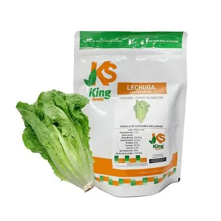LECHUGA PARRIS ISLAND (LIBRA)