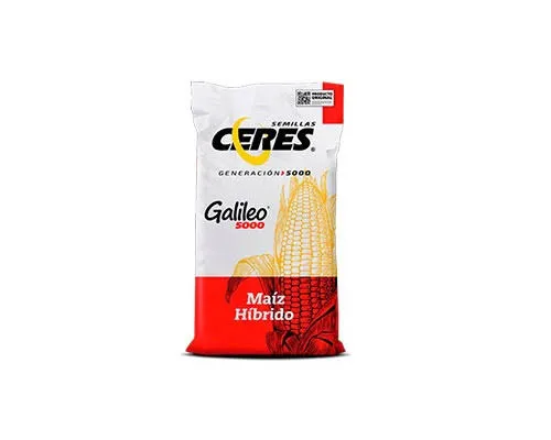 MAIZ GALILEO (BLANCO)