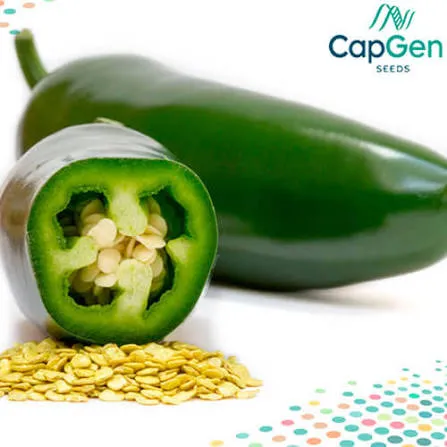 SEMILLA JALAPEÑO PEPPER (LIBRA)