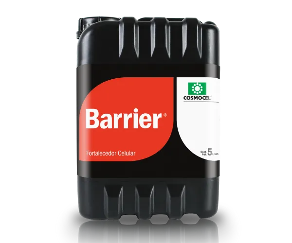 BARRIER 5 LTS