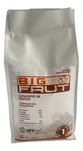 [1014] BIG FRUT 100 G