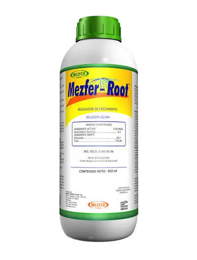 [812] MEZFER-ROOT 1 LT