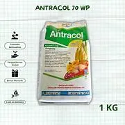 ANTRACOL 700 1 KG