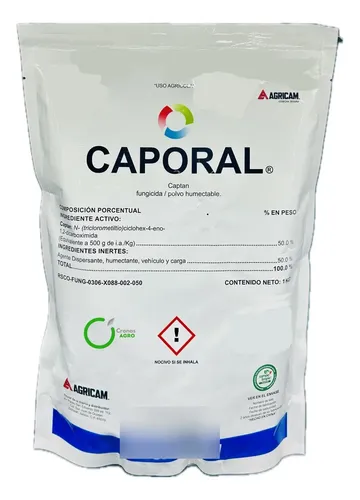 CAPORAL (CAPTAN) 1K