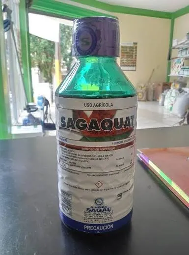 SAGAQUAT