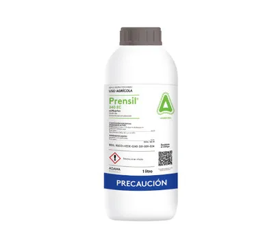 PRENSIL