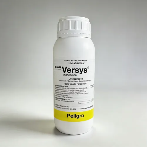 [40550] VERSYS 500ML